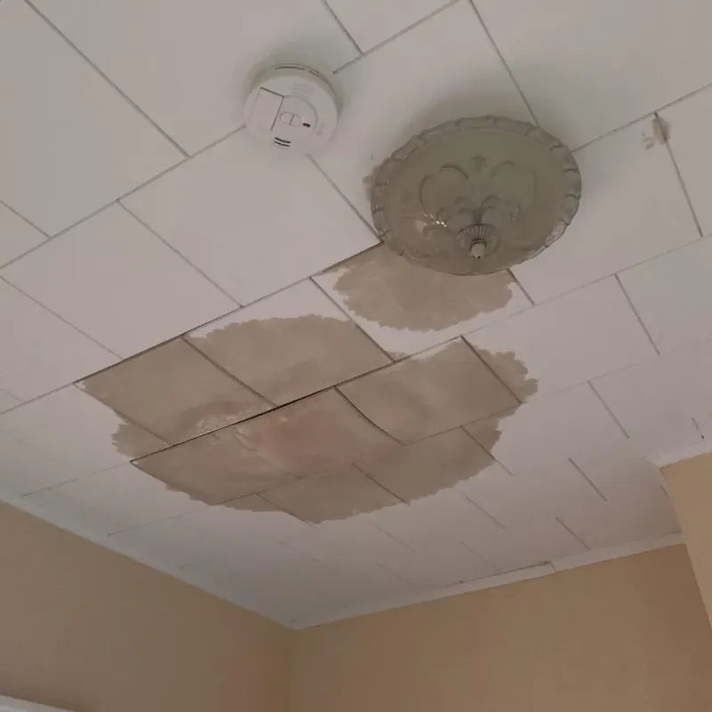 Ceiling Water Damage Repair in Williamsburg, MA